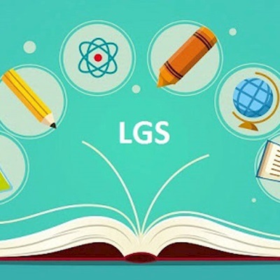 Lgs nedir?